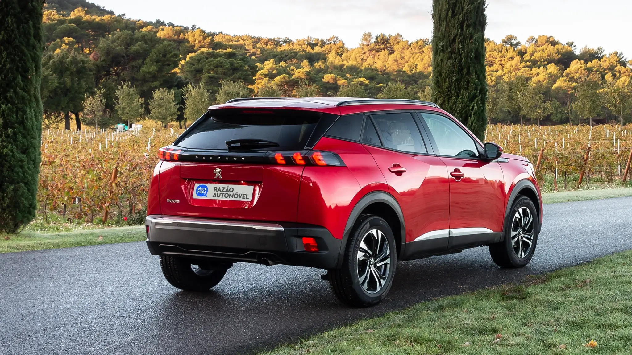 Peugeot 2008 usado 2019-2023, traseira 3/4